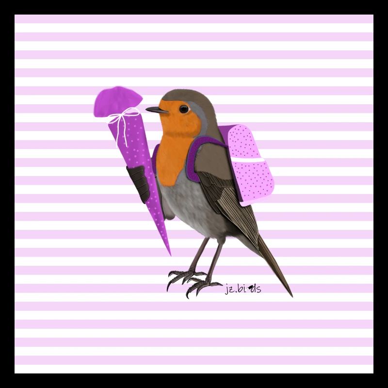 European robin bird knapsack school bag back to school