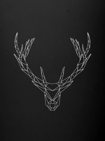 Cerf un blanc