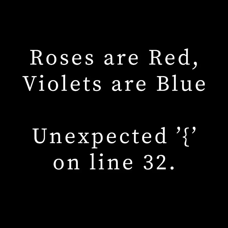 Poème de programmation, bug