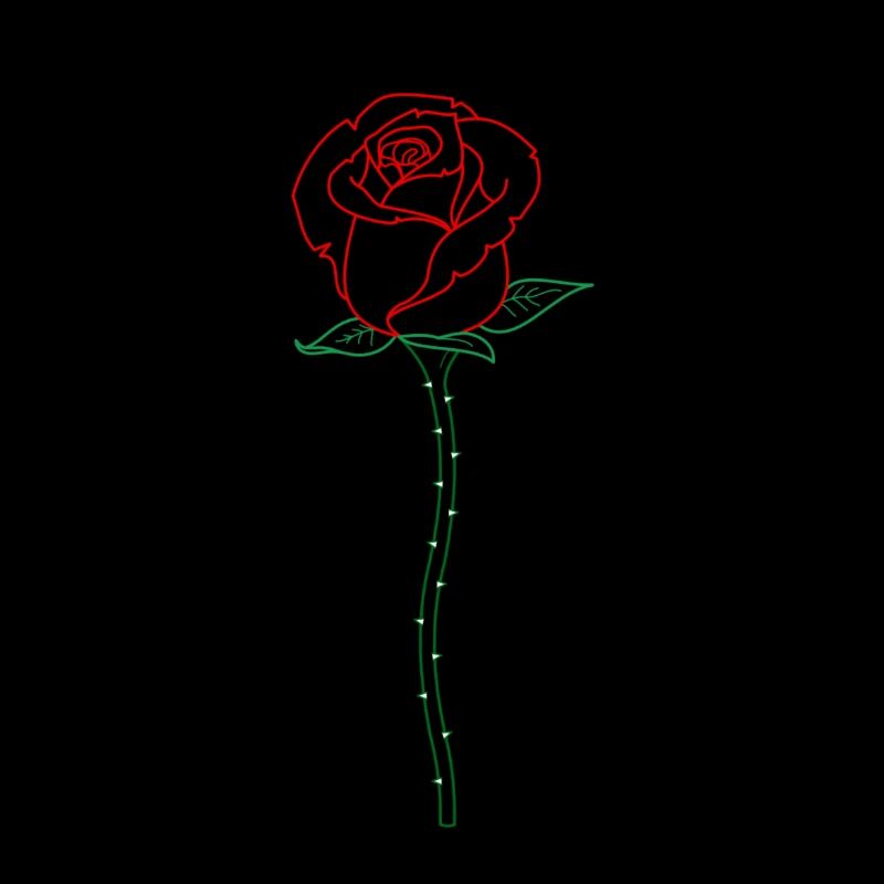 Une rose