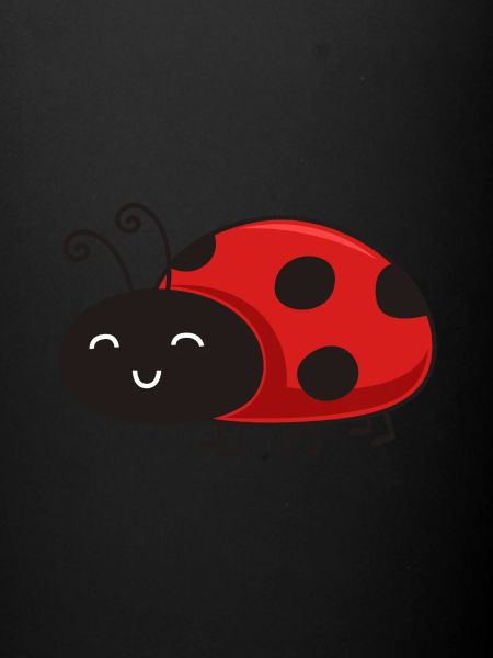 Cute ladybug insect