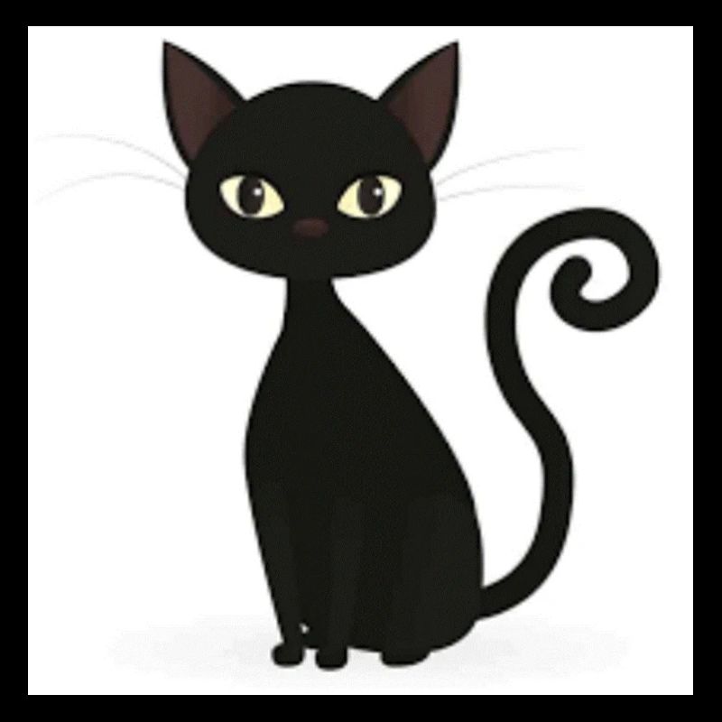 black cat