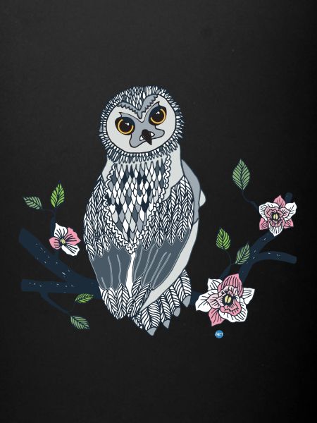 owl caroleARTCo
