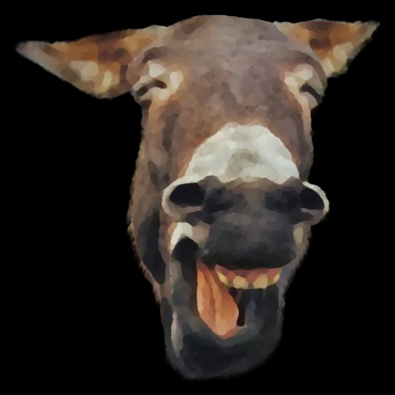 laughing donkey