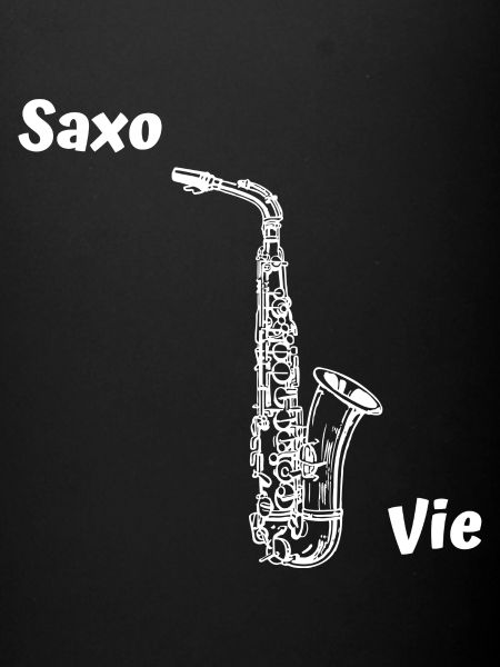 Saxo Vie