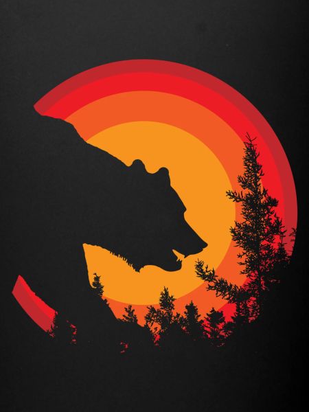 bear animal