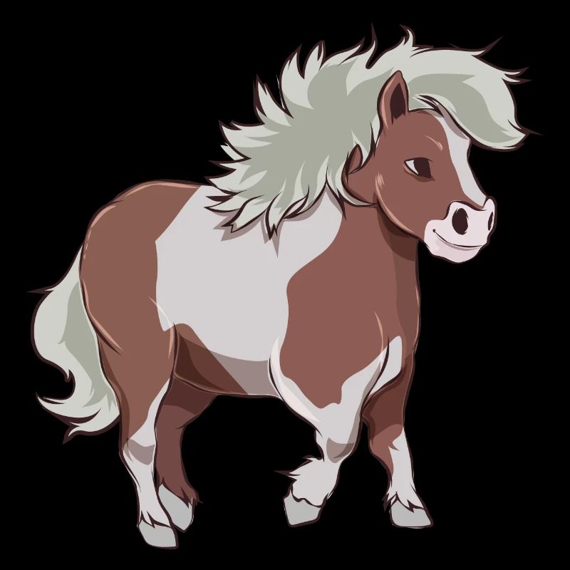 Shetty Geschenk