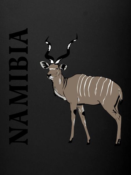 Namibia - Kudu Antelope