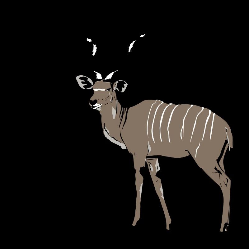 Namibia - Kudu Antelope