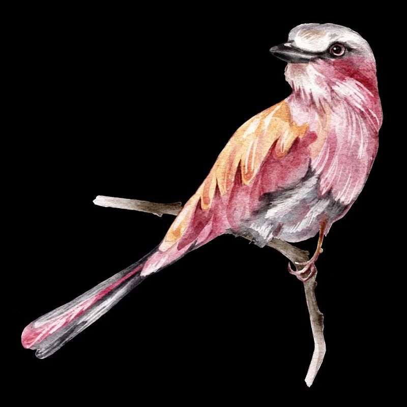 Vogel
