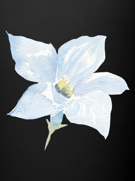 Fleur