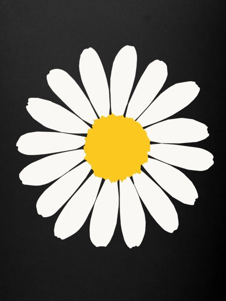 Daisy