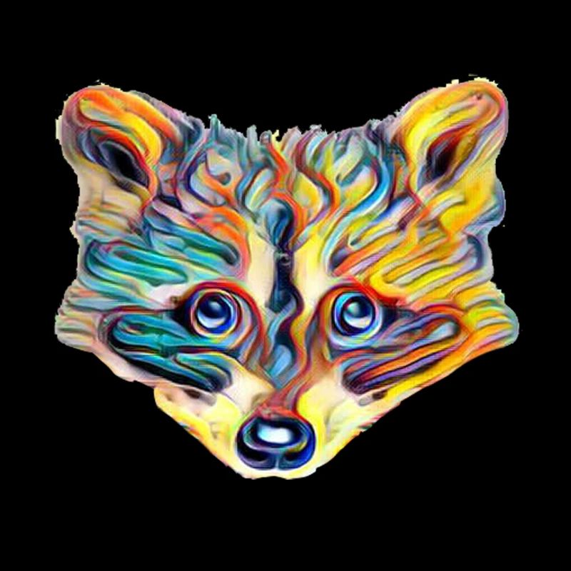 Racoon
