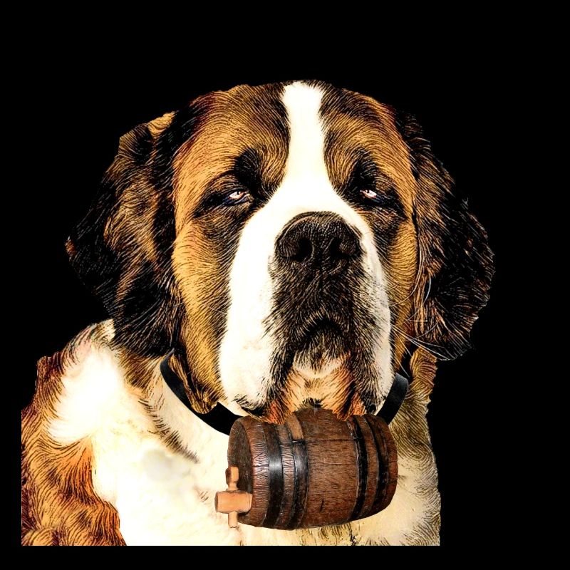 Saint Bernard 2