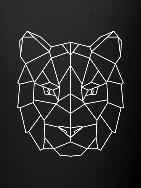 Geometry Tiger