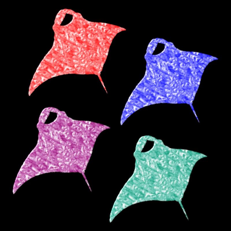 Raie Manta