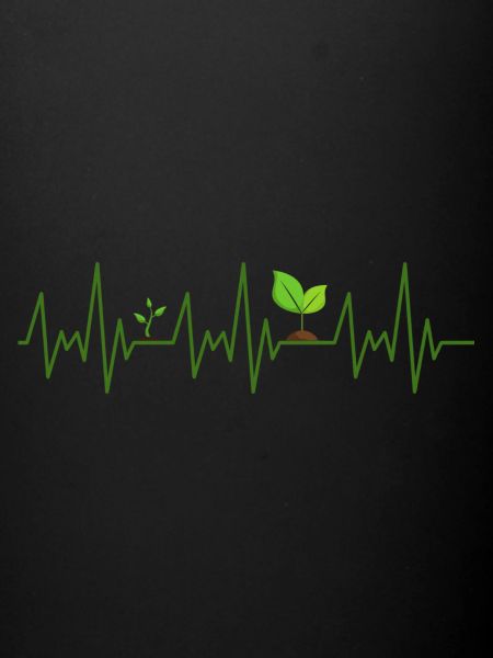 Plants ECG