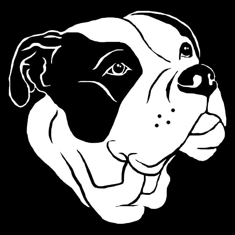 American Bulldog tête