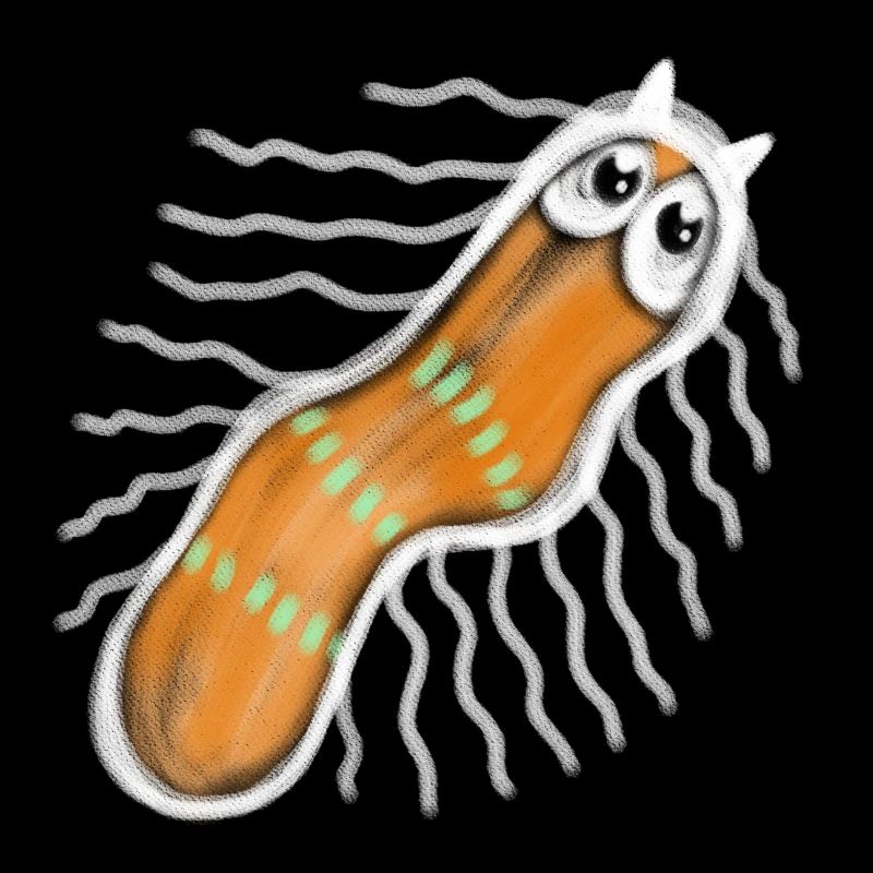 Punaise bactérienne microscopique