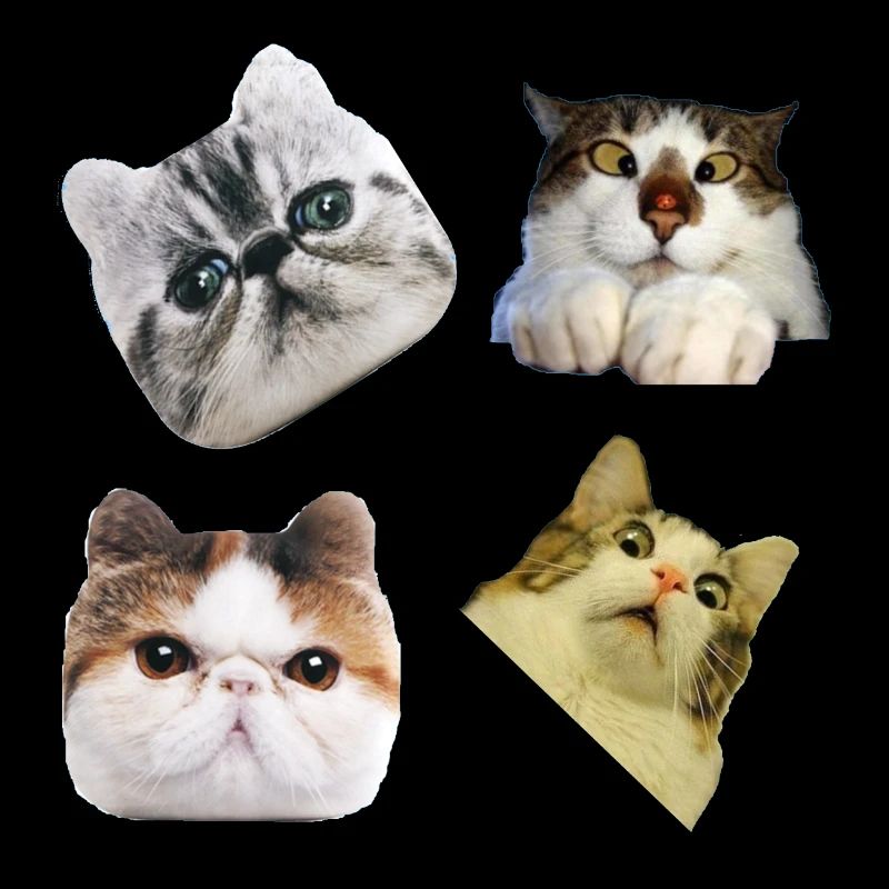 Pack-Katzen Spaß