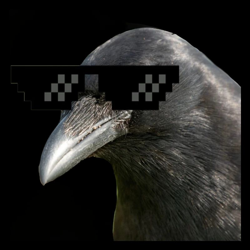 LilCrow