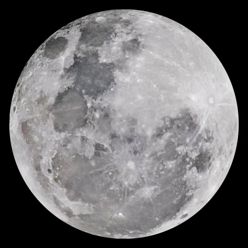 Echter Mond