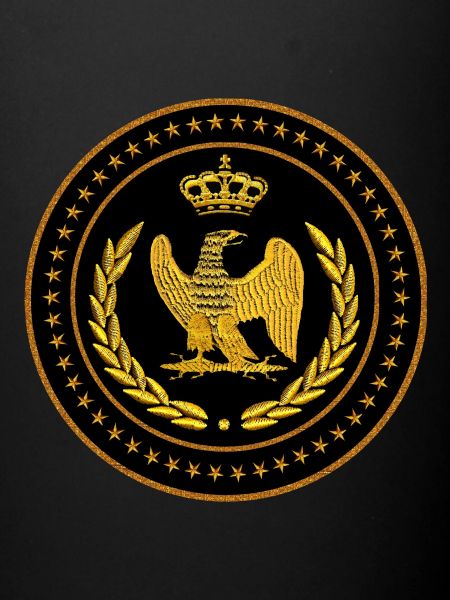 Ecusson Napoléon 04