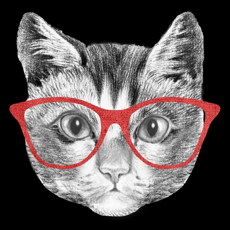 Chat chat avec lunettes