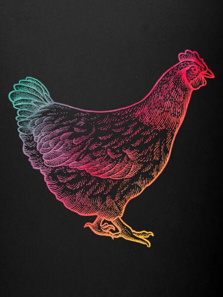 Poulet