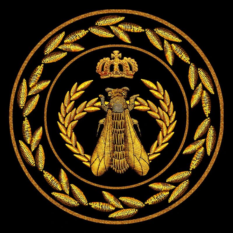 Ecusson Napoléon 10