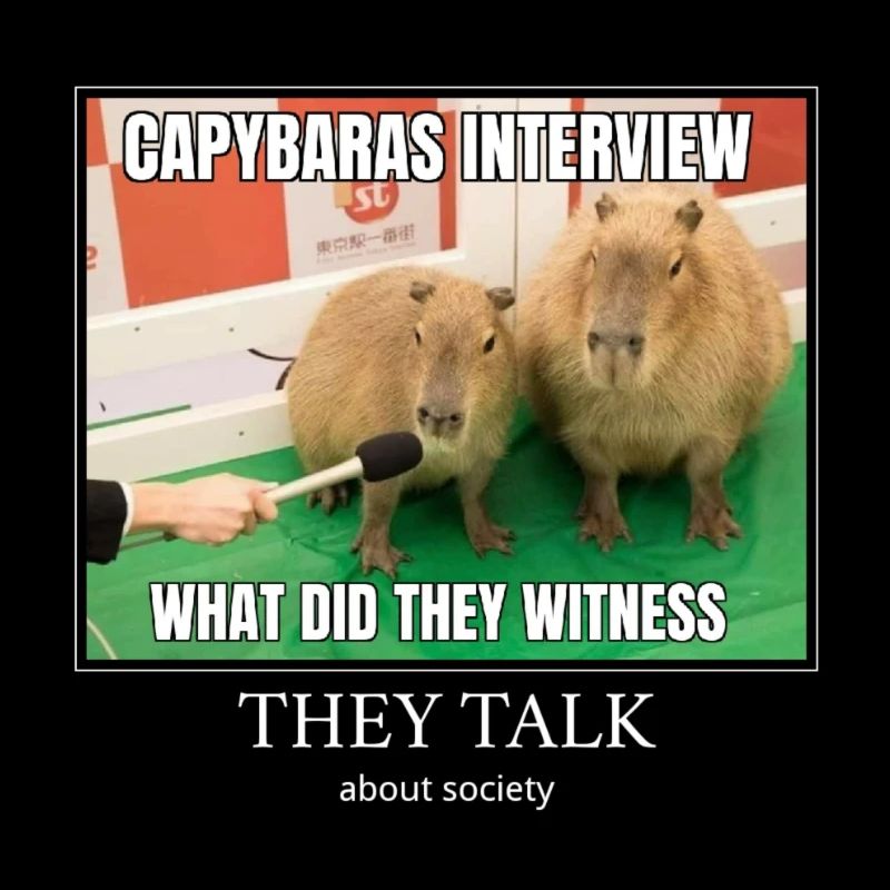 Capybara Interview meme