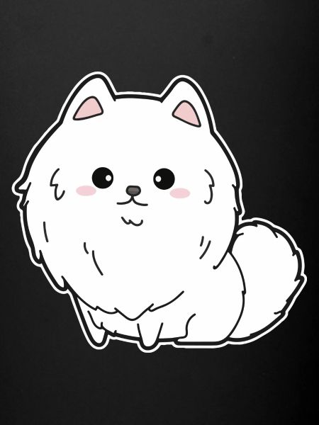 Dwarf spitz