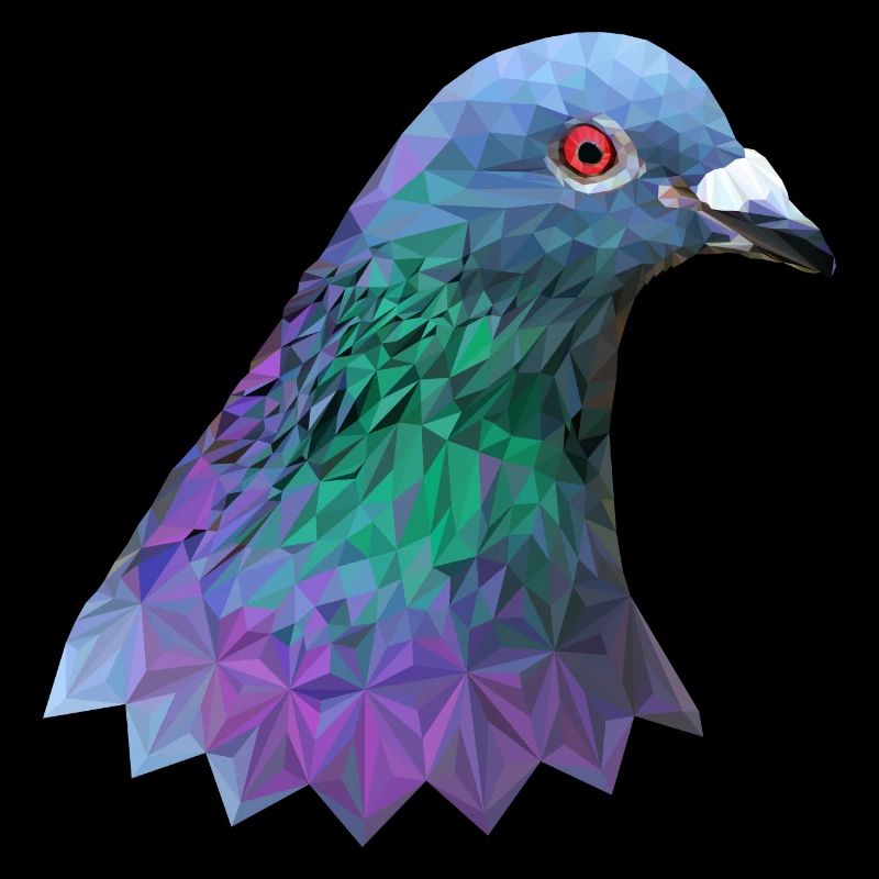 Taube Polygon Vogel