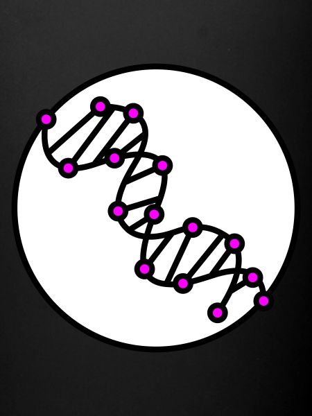 DNA