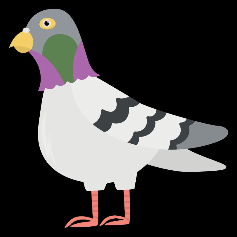 Pigeon