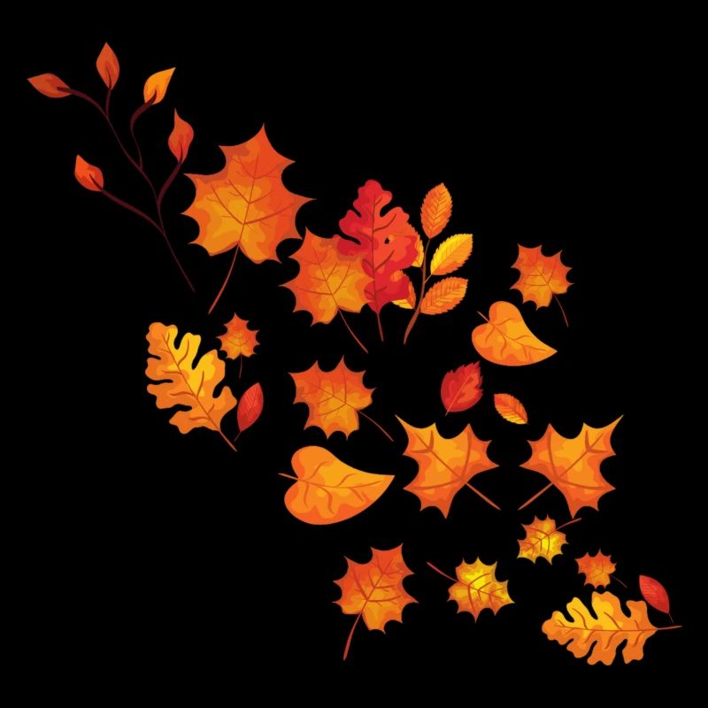 Feuilles d’automne colorées