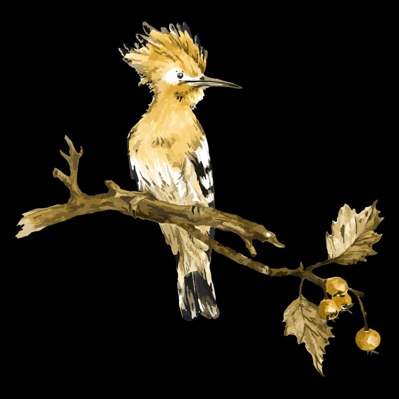 Oiseau coloré