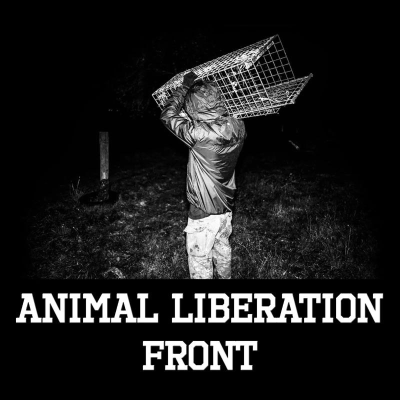 ALF volant des cages