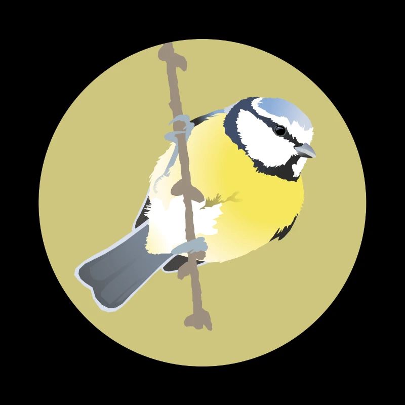 Mésange bleue