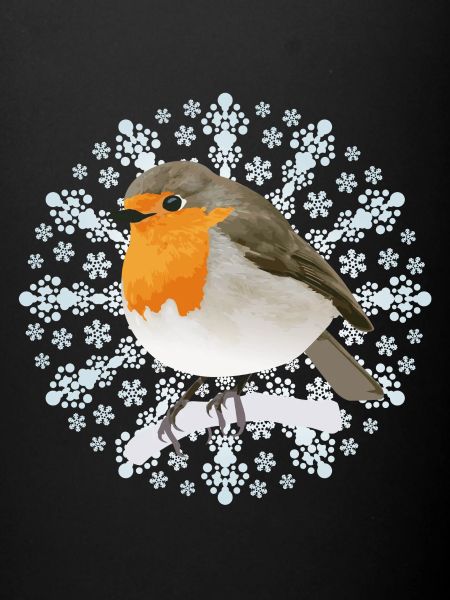 Robin d’hiver