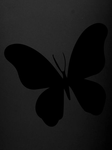 Papillon