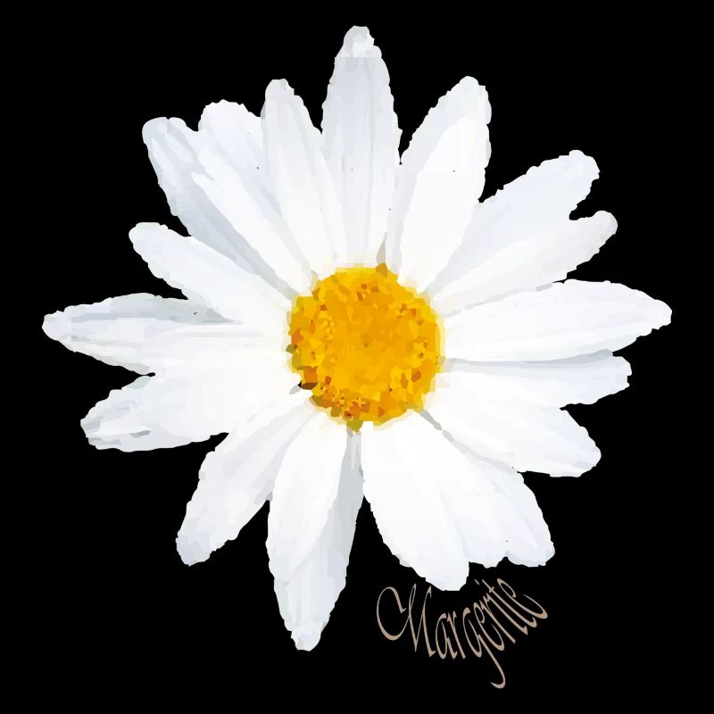 Marguerite