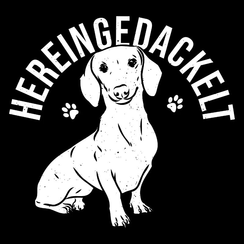 Dackel Dackelhund Hereingedackelt Dachshund Spruch