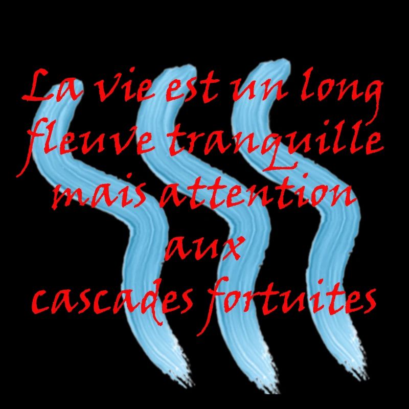 La vie est un long Fleuve tranquille