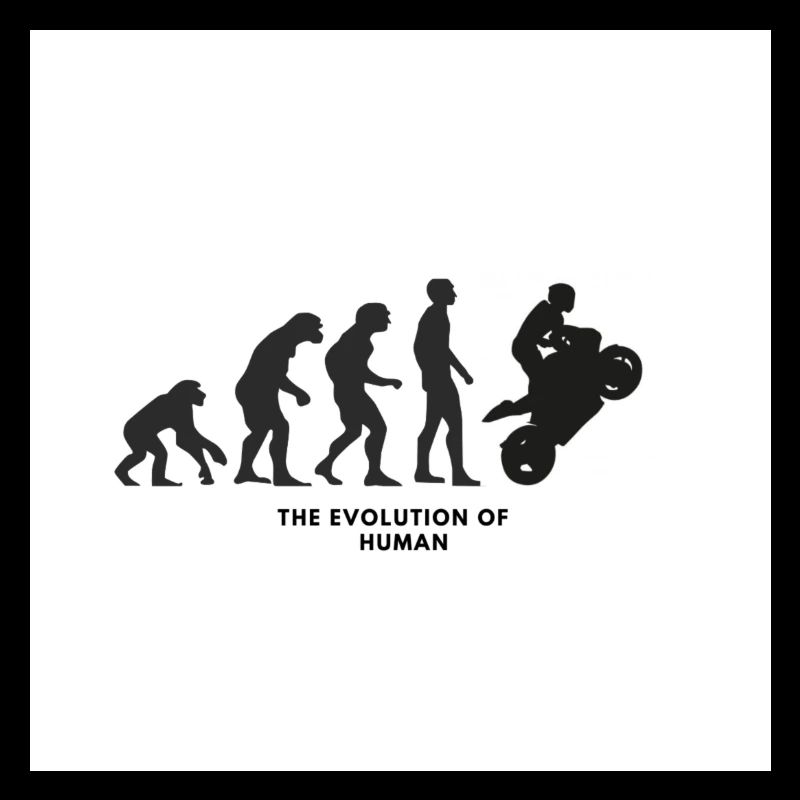 THE EVOLUTION OF HUMAN 1
