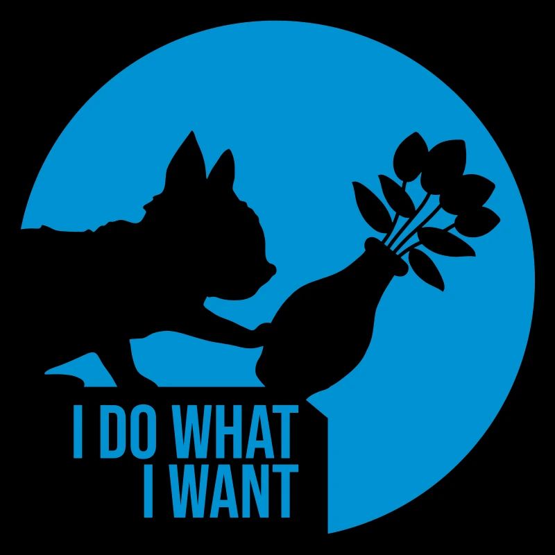 Vase à fleurs cassé chat effronté