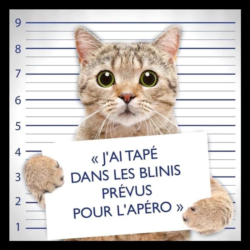 FB IMG 1654533797632