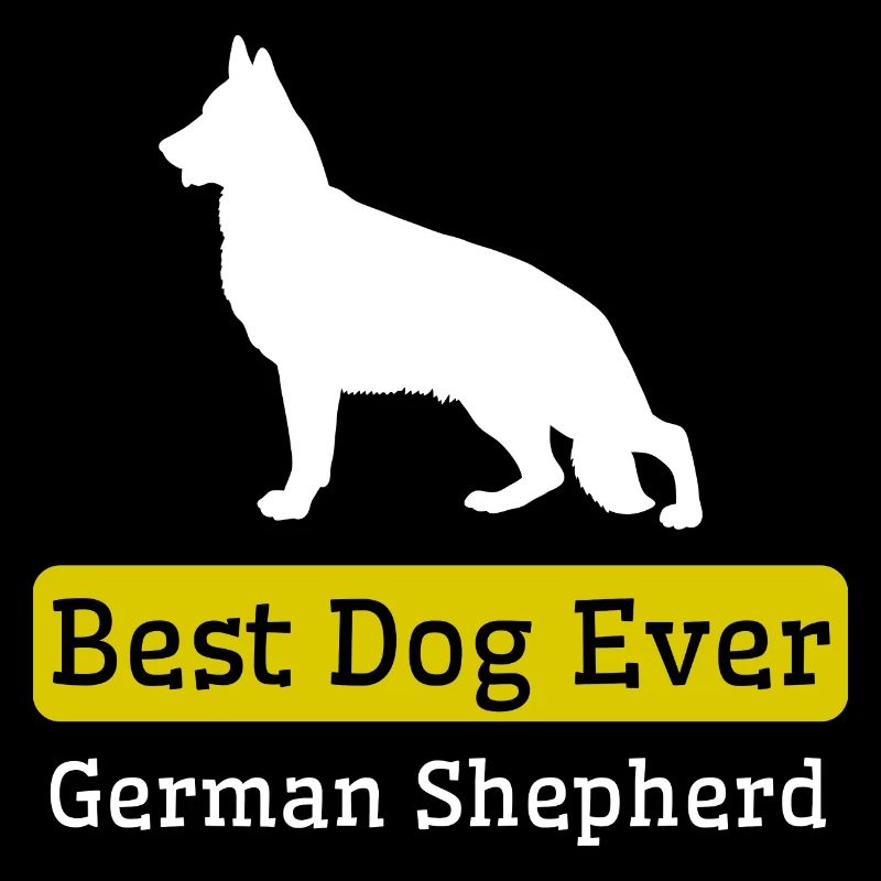 Bester Deutscher Schäferhund aller Zeiten