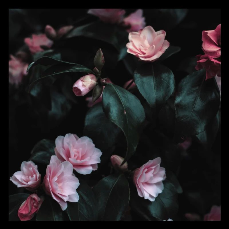 Blumen