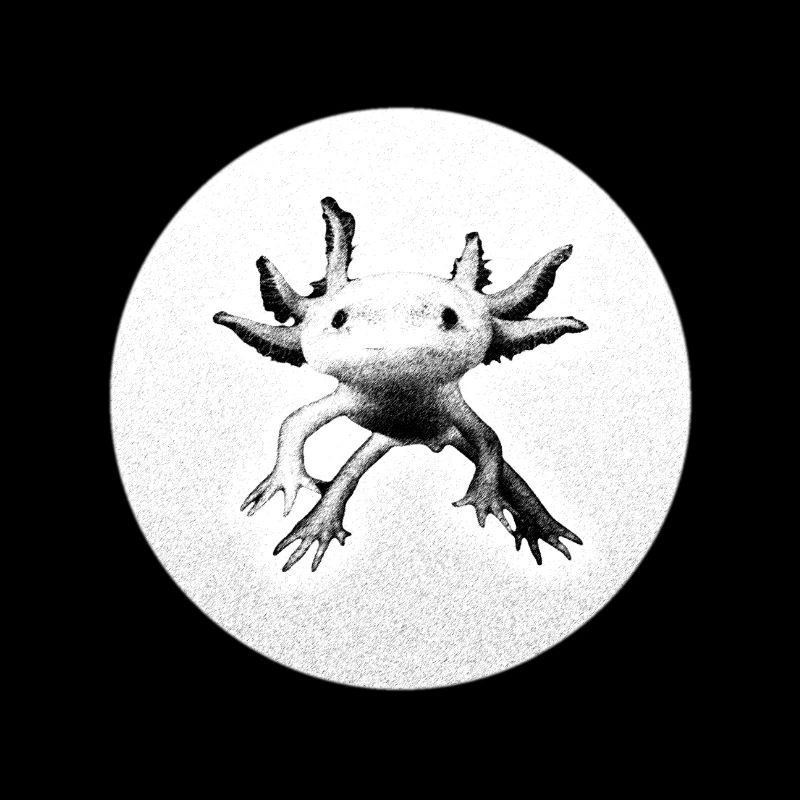 Axolotl